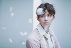 吴磊现状爆料视频大全集,视频大全集深度解析